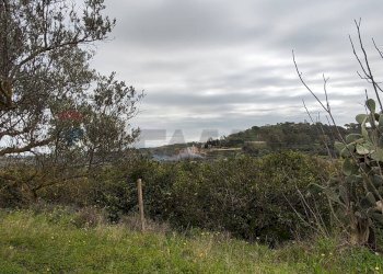 Vista delle montagne - Agricultural land c.da Piano della Croce
 
SN, Grammichele - photo 11