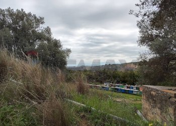 Vista delle montagne - Agricultural land c.da Piano della Croce
 
SN, Grammichele - photo 15