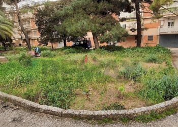 Giardino - Appartamento VIA MADONNA DELLA VIA
 
221, Caltagirone - foto 51