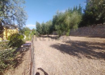 Giardino - Villa Monte Sant'Angelo - foto 35