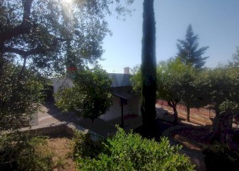 Giardino - Villa Monte Sant'Angelo - foto 37