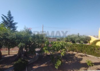 Giardino - Villa Monte Sant'Angelo - foto 41