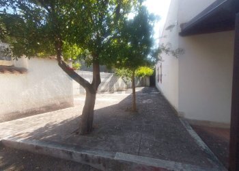 Giardino - Villa Monte Sant'Angelo - foto 43