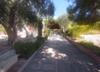 Giardino - Villa Monte Sant'Angelo - foto 44