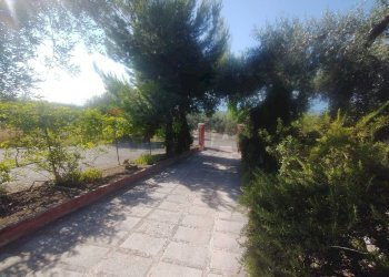 Non correlato - Villa Monte Sant'Angelo - foto 46