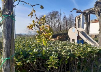 Giardino - Agriturismo Contrada Cupazzo
 
5, Monteleone di Puglia - foto 13