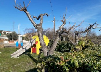 Non correlato - Agriturismo Contrada Cupazzo
 
5, Monteleone di Puglia - foto 17