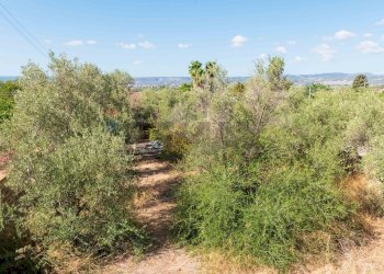 Giardino - Casa semi indipendente via volpicelli
 
31, Siracusa - foto 27