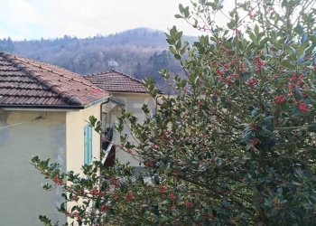 Casa all\'aperto - Casa indipendente Località Panelli
 
28, Mallare - foto 29