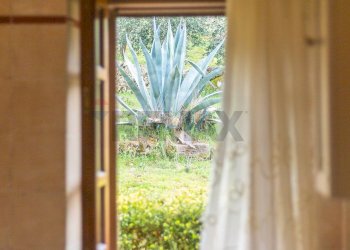 Dettagli - Villa strada provinciale Fibbianello 155
 
0, Semproniano - photo 22