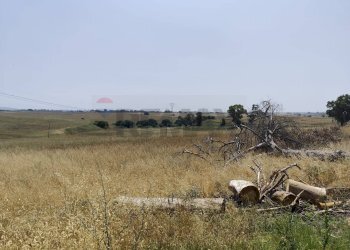 Vista delle montagne - Agricultural land Via Cerqueto, Pomezia - photo 4