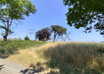 Giardino - Agricultural land Via Cerqueto, Pomezia - photo 7