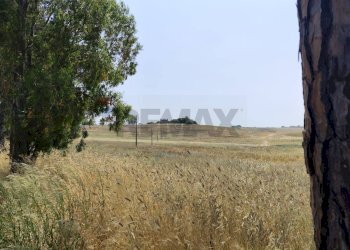 Vista delle montagne - Agricultural land Via Cerqueto, Pomezia - photo 9