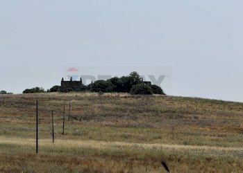 Vista delle montagne - Agricultural land Via Cerqueto, Pomezia - photo 12