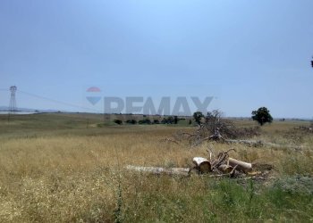 Vista delle montagne - Agricultural land Via Cerqueto, Pomezia - photo 16