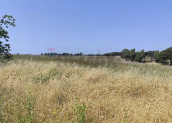 Vista delle montagne - Agricultural land Via Cerqueto, Pomezia - photo 18