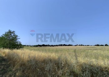 Giardino - Agricultural land Via Cerqueto, Pomezia - photo 20