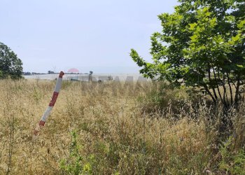 Non correlato - Agricultural land Via Cerqueto, Pomezia - photo 21
