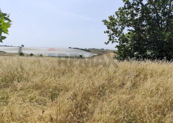 Vista dell\'acqua - Agricultural land Via Cerqueto, Pomezia - photo 24