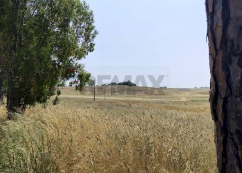 Vista delle montagne - Rustico Via Cerqueto
 
snc, Pomezia - foto 13