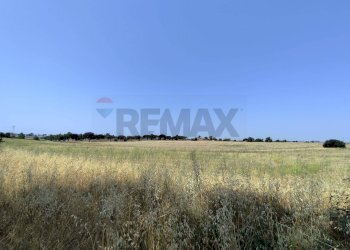 Giardino - Rustico Via Cerqueto
 
snc, Pomezia - foto 18