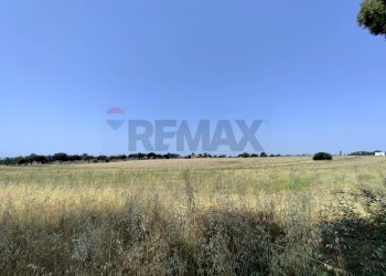 Non correlato - Rustico Via Cerqueto
 
snc, Pomezia - foto 19