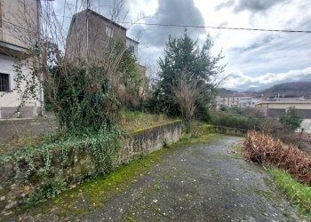 Giardino - Casa indipendente Arpaise - foto 13