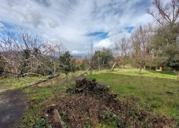 Giardino - Casa indipendente Arpaise - foto 14