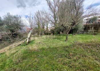 Giardino - Casa indipendente Arpaise - foto 15