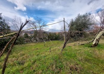 Giardino - Casa indipendente Arpaise - foto 16