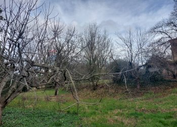 Giardino - Casa indipendente Arpaise - foto 20