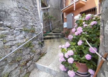 Giardino - Trilocale Morcone - foto 5