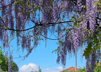 Vista delle montagne - Villa VIA GRAMSCI
 
1, Biandronno - foto 2