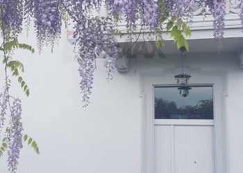 Casa all\'aperto - Villa VIA GRAMSCI
 
1, Biandronno - foto 54