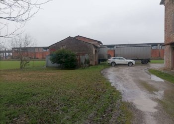 Giardino - Casa indipendente frazione roncole verdi
 
23, Busseto - foto 36