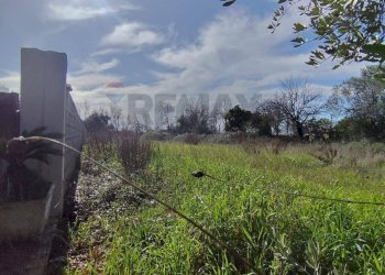 Giardino - Casa indipendente Santi Cosma e Damiano - foto 5