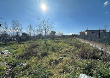 Foto 2 - Terreno agricolo via Vicinale Mauro Vecchio, Terzigno - foto 2