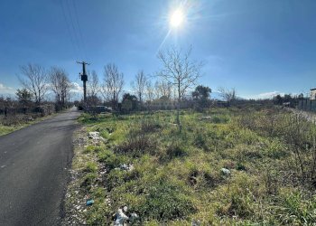 Foto 3 - Terreno agricolo via Vicinale Mauro Vecchio, Terzigno - foto 3