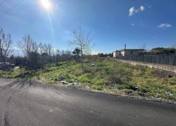 Foto 5 - Terreno agricolo via Vicinale Mauro Vecchio, Terzigno - foto 5