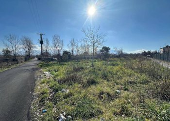 Foto 6 - Terreno agricolo via Vicinale Mauro Vecchio, Terzigno - foto 6