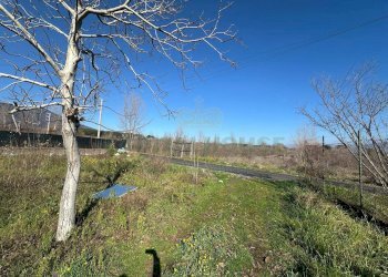 Foto 7 - Terreno agricolo via Vicinale Mauro Vecchio, Terzigno - foto 7