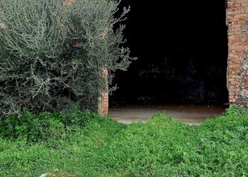 Facciata principale - Rustic contrada mondoletto
 
s/n, Collesano - photo 11