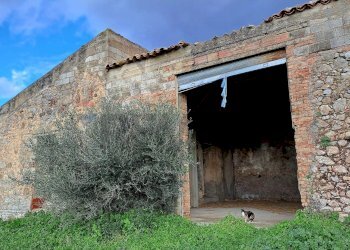 Ingresso - Rustic contrada mondoletto
 
s/n, Collesano - photo 20