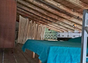 Camera / camera da letto - Rustic contrada Mondoletto
 
s/n, Collesano - photo 9