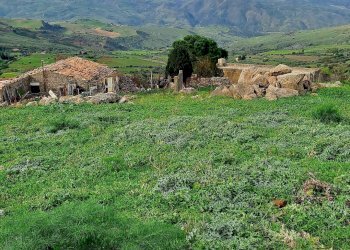 Vista delle montagne - Rustic contrada Mondoletto
 
s/n, Collesano - photo 23