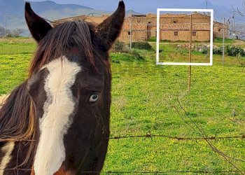 Non correlato - Rustic contrada Mondoletto
 
s/n, Collesano - photo 26