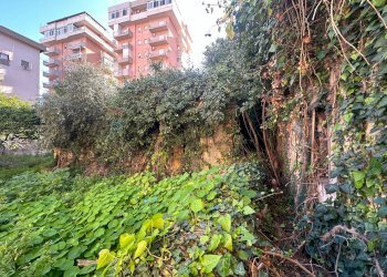 Giardino - Rustic Via Federico Ferrari Orsi
 
71, Palermo - photo 17