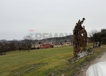 Giardino - Terreno edificabile Contrada Masiere
Snc, Possagno - foto 19