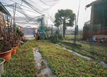 Foto 13 - Rustico VIA XXV LUGLIO
 
3, San Giusto Canavese - foto 13