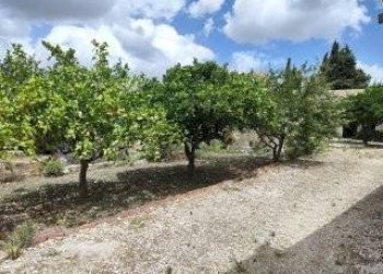 Giardino - Terreno edificabile VIA CAPITANO RIZZO
 
98, Trapani - foto 4